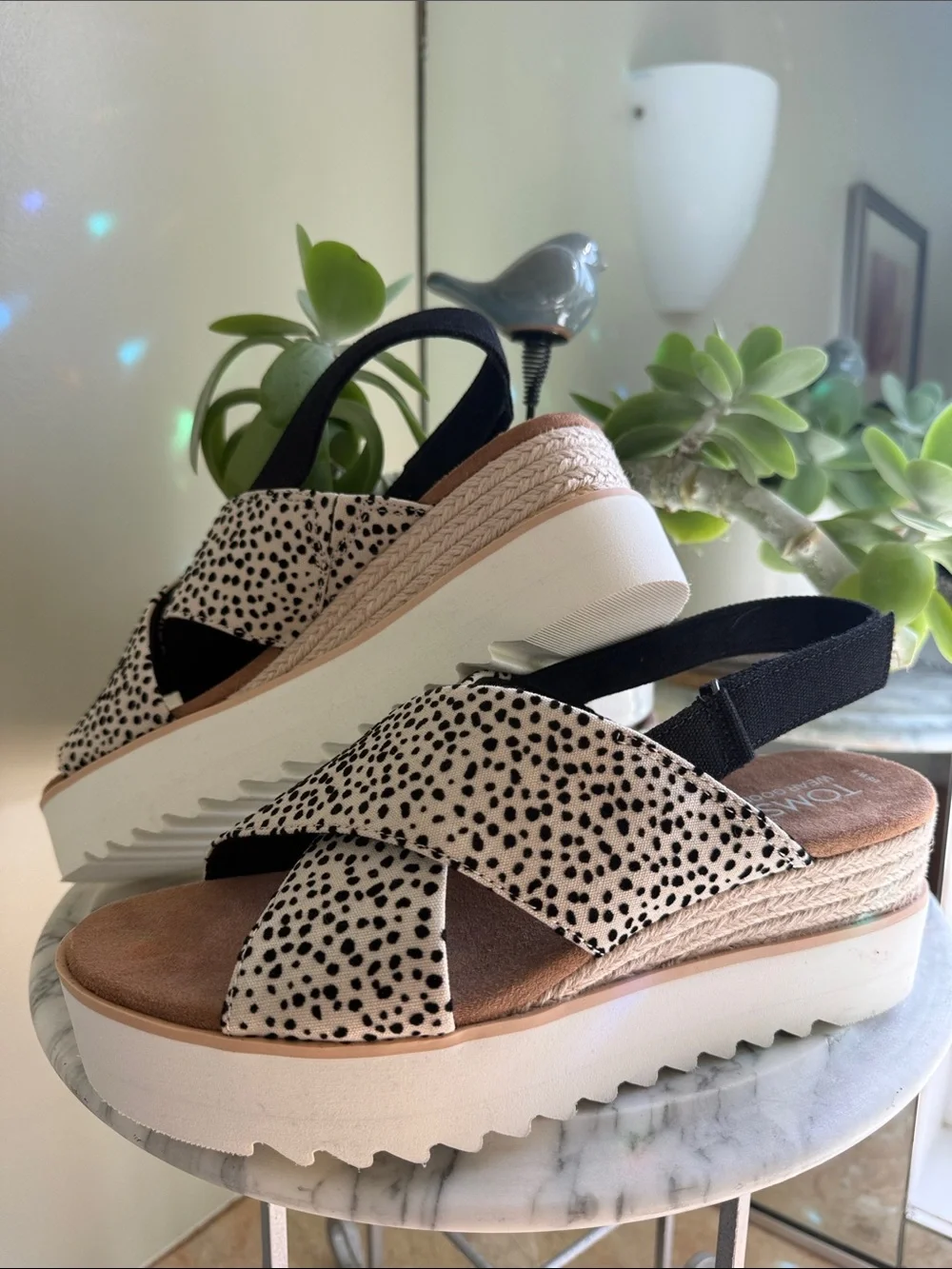 TOMS Leopard-Print Crisscross Slingback Sandals in Black and Cream - Picture 5 of 7